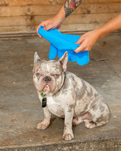 Toalla de baño para mascotas